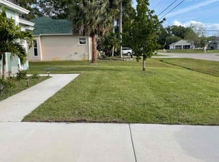 Angel L.'s Lawn Mowing service result