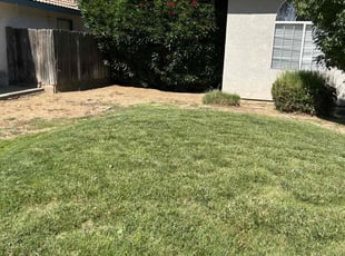 Weeding by Johnie Parker for Jamie D. in Fresno, CA