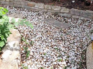Leaf Removal by Robert Luna for Rebecca G. in Austin, TX