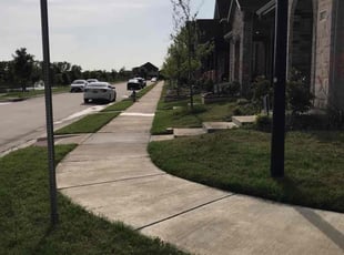 Sandy R.'s Lawn Care service result