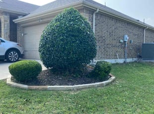 Bush Trimming by James Landes for Lashawn C. in Cedar Hill, TX