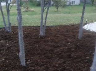 Weeding by Edis Raul for Madan A. in Wichita, KS