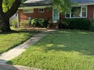 Jana A.'s Lawn Mowing Service service result