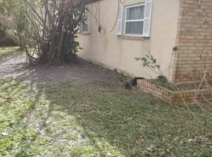 Cleanups by Yon Helton for Marian S. in St. Augustine, FL