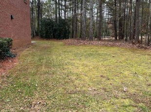 Leaf Removal by Phillip StPreuve for Londrelle L. in Duluth, GA