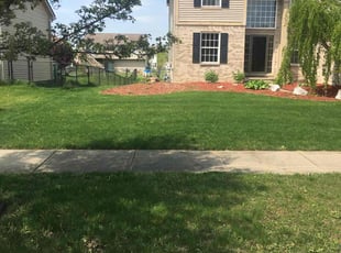 Robert R.'s Grass Cutting service result