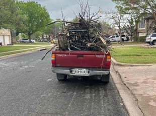 Cleanups by Noah Fiechtner for Sid G. in Round Rock, TX