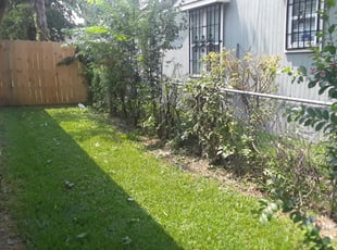 Bush Trimming by Cheyenne Lozano-Camarillo for Jay M. in Dallas, TX