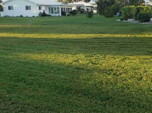 Steven S.'s Lawn Care service result