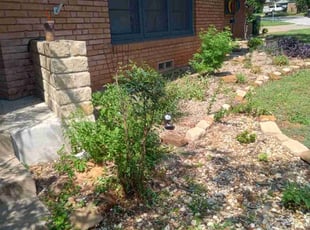 Bush Trimming by Kassandra Winters for Beverly M. in Arlington, TX