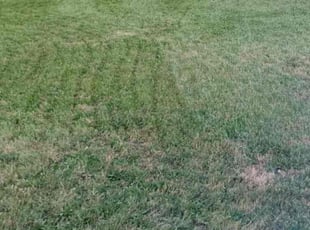 Robert G.'s Lawn Care service result