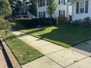 Robin K.'s Lawn Service service result
