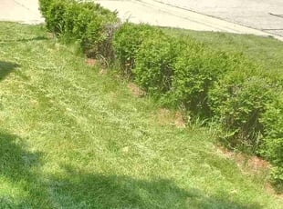 Bush Trimming by Russell Wells for Sugu P. in Dublin, OH