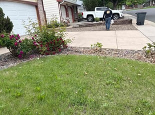 Weeding by Jesse Nunez for Kathy H. in Aurora, CO