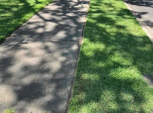 Ladonna C.'s Grass Cutting service result