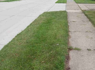 Peyton S.'s Yard Cutting service result