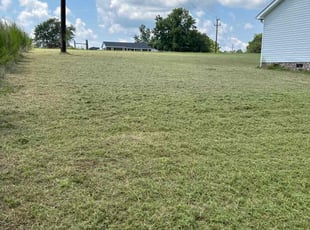 Cindy V.'s Lawn Mowing service result