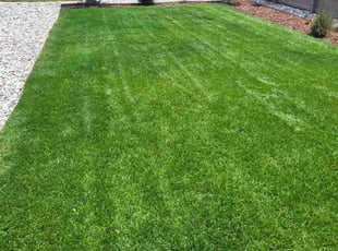 Weeding by Jay Bradley for Andrew S. in Colorado Springs, CO