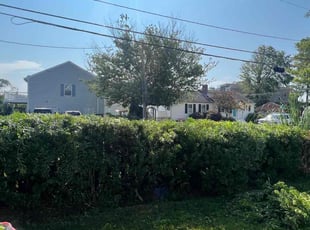 Bush Trimming by Valera Swearngin for Chad D. in Virginia Beach, VA