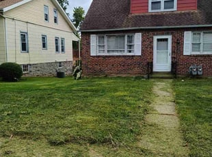 lukas S.'s Grass Cutting service result