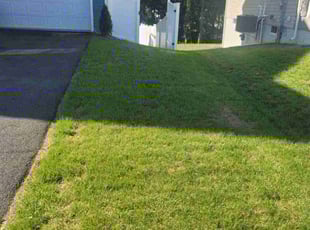 Kevin j.'s Lawn Maintenance service result