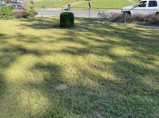 Bush Trimming by Jonathan Miller for Dennis J. in Memphis, TN