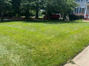 Mellonie S.'s Grass Cutting service result