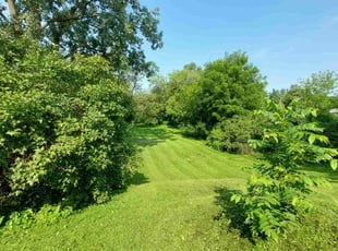 Ray W.'s Lawn Mowing service result