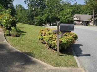 Angela S.'s Grass Cutting service result