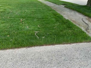 Laura S.'s Lawn Maintenance service result