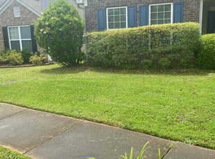 Tracy L.'s Lawn Service service result
