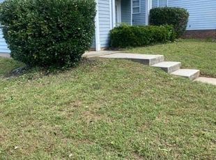 Bush Trimming by Bri Foster for Danielle G. in Charlotte, NC