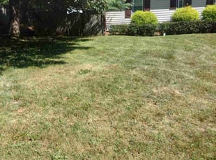 Leaf Removal by Francisco LARA for Katherine D. in Germantown, MD