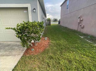 Cleanups by James Ramey for Teresa K. in St. Cloud, FL