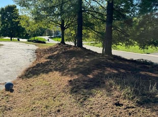 Weeding by Keith Vickers for Jelani J. in Cincinnati, OH