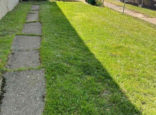 Leaf Removal by Quinlen Dean for Tiffany M. in Capitol Heights, MD