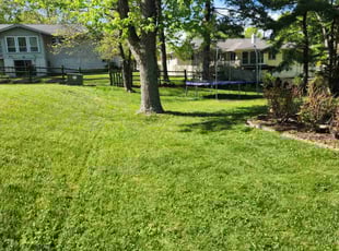 Jeneshia L.'s Yard Cutting service result