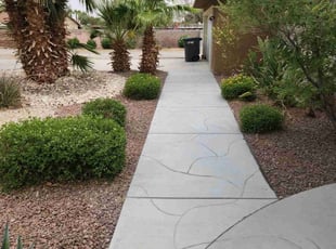 Bush Trimming by Lamont Johnson for Jason B. in Las Vegas, NV