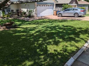 Suzanne S.'s Yard Cutting service result