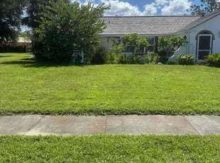 Vilma O.'s Lawn Mowing service result