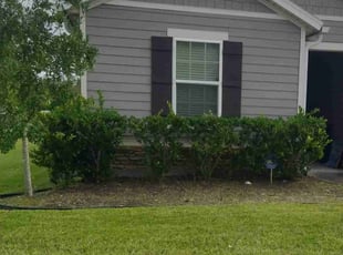 Weeding by Willie Collier for Keenan J. in Jacksonville, FL