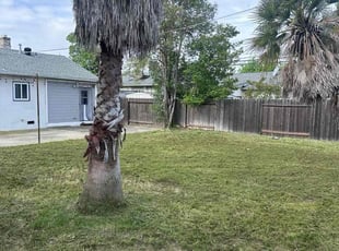 Beverly S.'s Yard Cutting service result