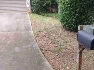 Paul S.'s Bush Trimming service result