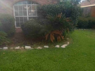 Bush Trimming by Donovan Perry for Zona G. in Katy, TX