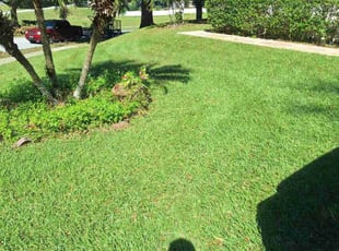 Samuel M.'s Yard Cutting service result