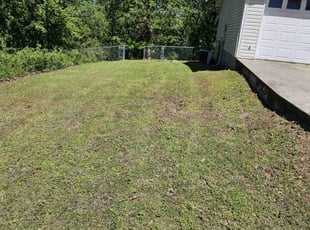 Oanh K.'s Grass Cutting service result