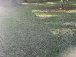 Cleanups by Joseph Clark for Tamara p. in Fayetteville, NC