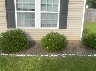 Weeding by Brittany Muckelvene for Michael D. in Blythewood, SC