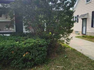 Bush Trimming by Robert Dowdy for Lee B. in Milwaukee, WI