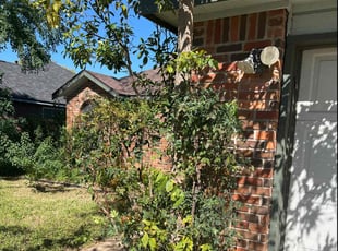 Bush Trimming by Noah Fiechtner for Justin G. in Round Rock, TX